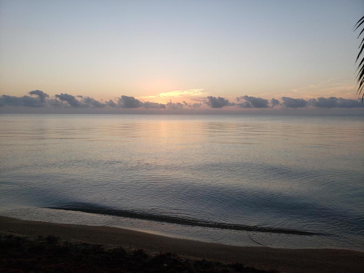 Pal'S On The Beach - Dangriga, Belize Exteriör bild