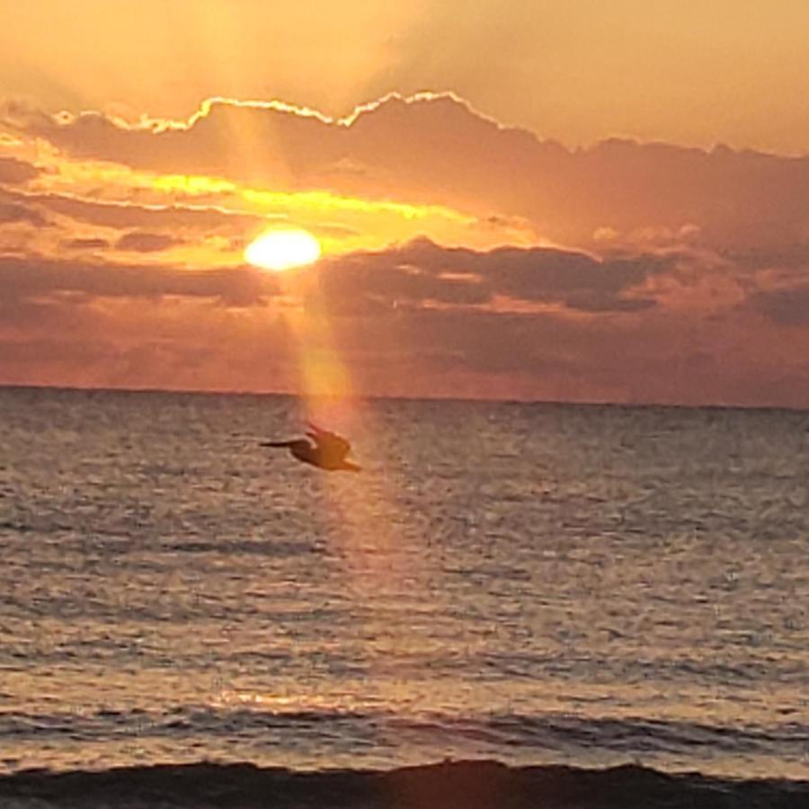 Pal'S On The Beach - Dangriga, Belize Exteriör bild