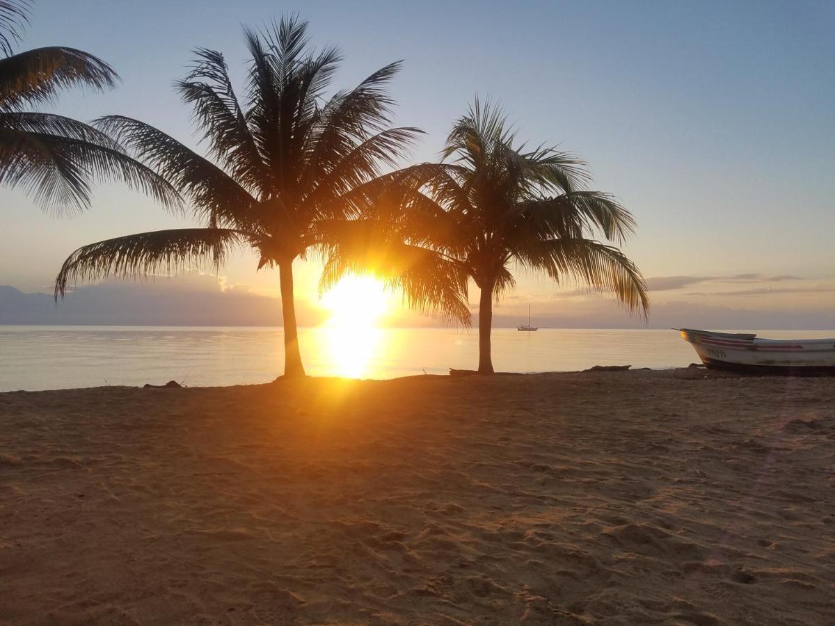 Pal'S On The Beach - Dangriga, Belize Exteriör bild