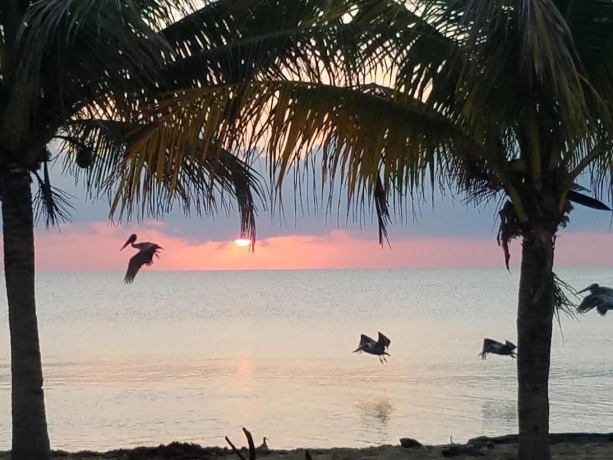 Pal'S On The Beach - Dangriga, Belize Exteriör bild