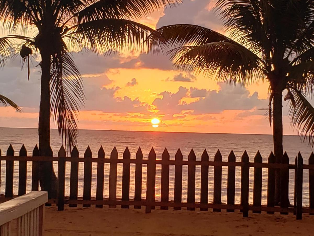 Pal'S On The Beach - Dangriga, Belize Exteriör bild