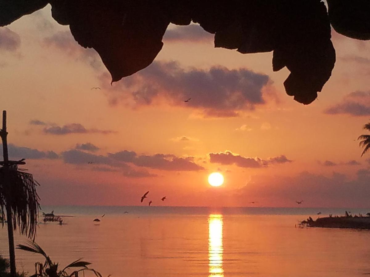 Pal'S On The Beach - Dangriga, Belize Exteriör bild
