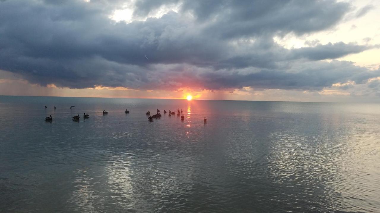 Pal'S On The Beach - Dangriga, Belize Exteriör bild