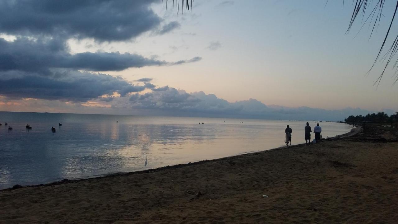 Pal'S On The Beach - Dangriga, Belize Exteriör bild