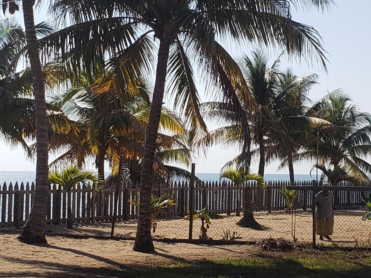 Pal'S On The Beach - Dangriga, Belize Exteriör bild